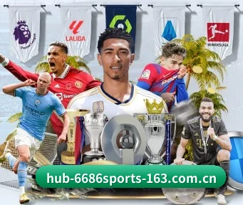 6686体育 APP - 6686 SPORTS
